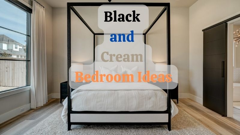 Black and Cream Bedroom Ideas: Striking Contrasts