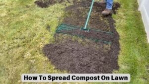 How To Spread Compost On Lawn