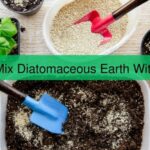 can i mix diatomaceous earth with soil