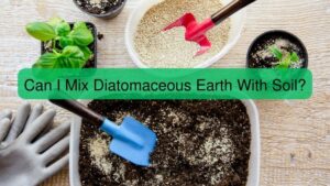 Can I Mix Diatomaceous Earth With Soil?