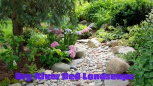 How To Create A Dry River Bed Landscape