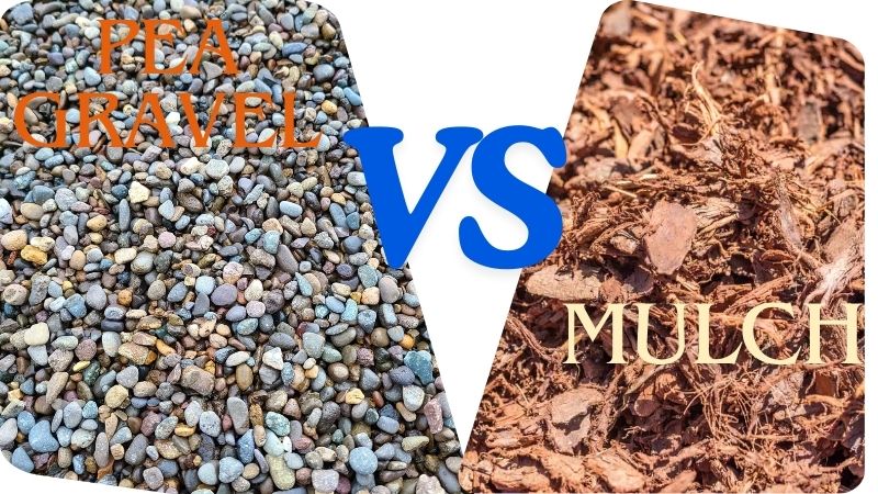 Pea Gravel vs Mulch: The Perfect Choice For Your Garden