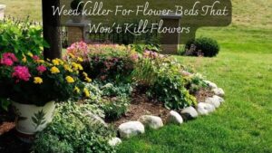 Top 4 Weed Killer For Flower Beds That Won’t Kill Flowers